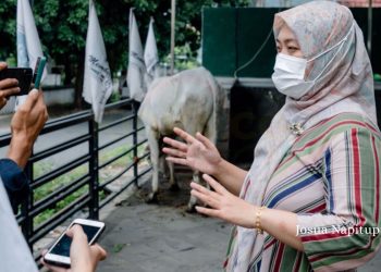 PKB Lampung Kurbankan