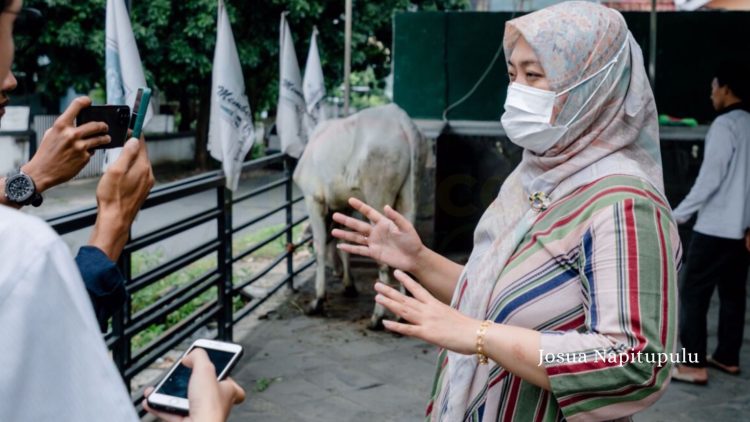 PKB Lampung Kurbankan